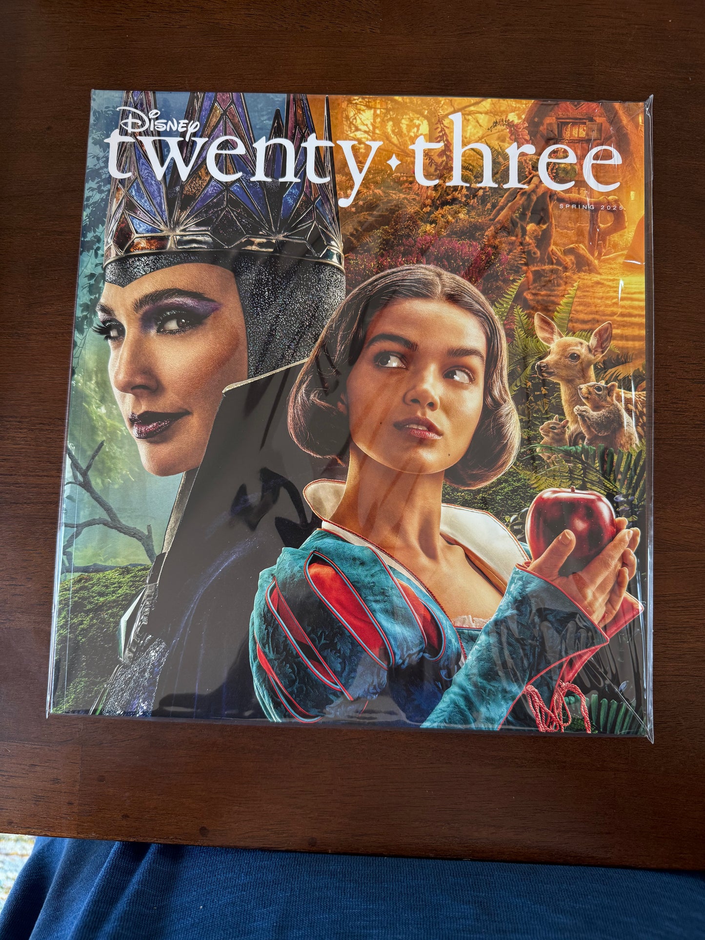 Disney Twenty-Three Magazine Series